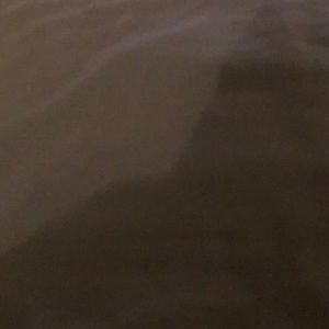 Meet your Posher, Dylan